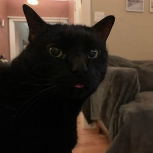 Meet your Posher, Darrell